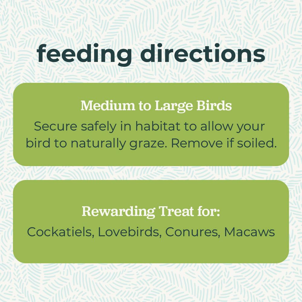ZuPreem Grazing Snack, Long-Lasting & Rewarding Bird Treats, Medium to Large Birds, No Artificial Flavors or Colors, Perfect for